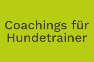 Hundetraining Franken - Coachings für Hundetrainer