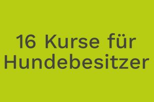 Hundetraining Franken - 16 Kurse für Hundebesitzer