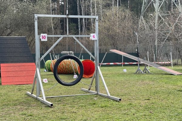 Hundetraining Franken - Alle Kurse, Agility Parcours Hindernisse Hundeplatz