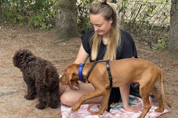 Hundetraining Franken - Galerie, Kundin mit Welpen im Spielgehege auf Decke