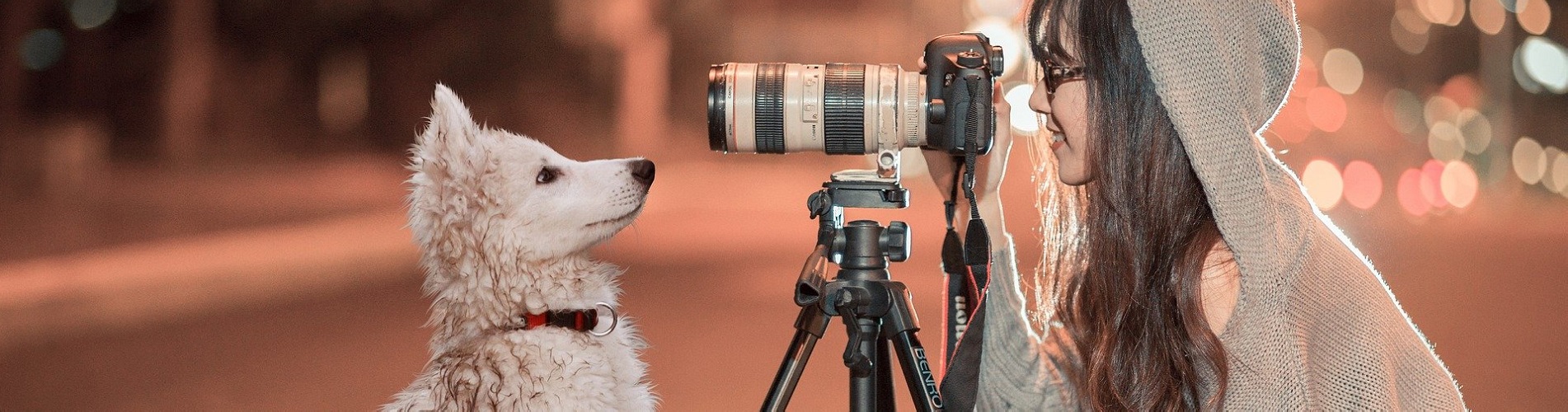 Hundetraining Franken - Galerie, Frau fotografiert weißen Schäferhund Welpe