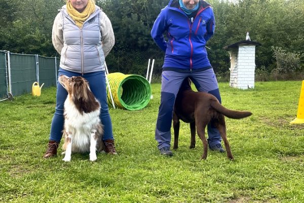 Hundetraining Franken - Trickdogging, Labrador und Aussie unter Beinen von Haltern