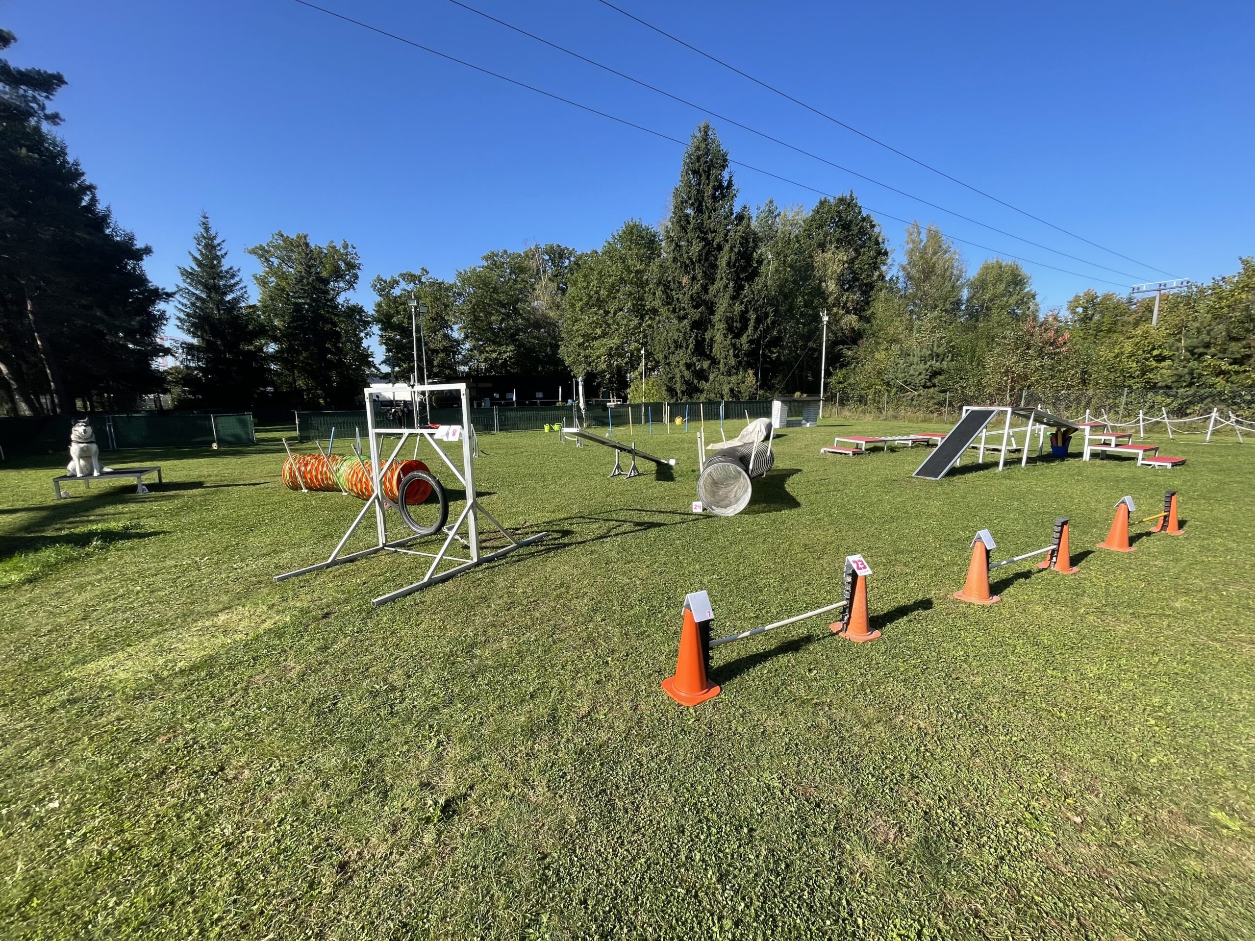 Hundetraining Franken - Trainingsgelände, Agility Parcours Hindernisse