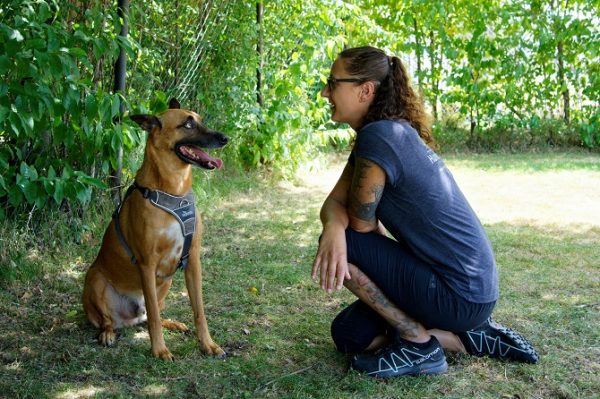 Hundetraining Franken - Fortgeschrittene, Malinois und Trainerin sitzen auf Wiese